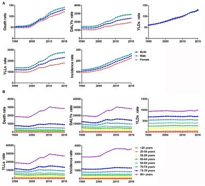 Disease burden and risk factors of ischemic heart disease in China during 1990–2019 based on the Global Burden of Disease 2019 report: A systematic analysis